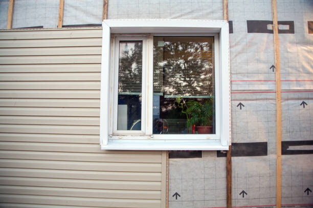 Best Residential Vinyl Siding Installation  in Somers, WI